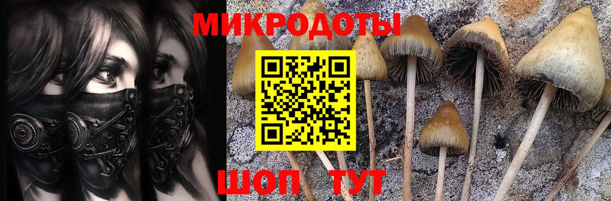 Галлюциногенные грибы GOLDEN TEACHER Ухта